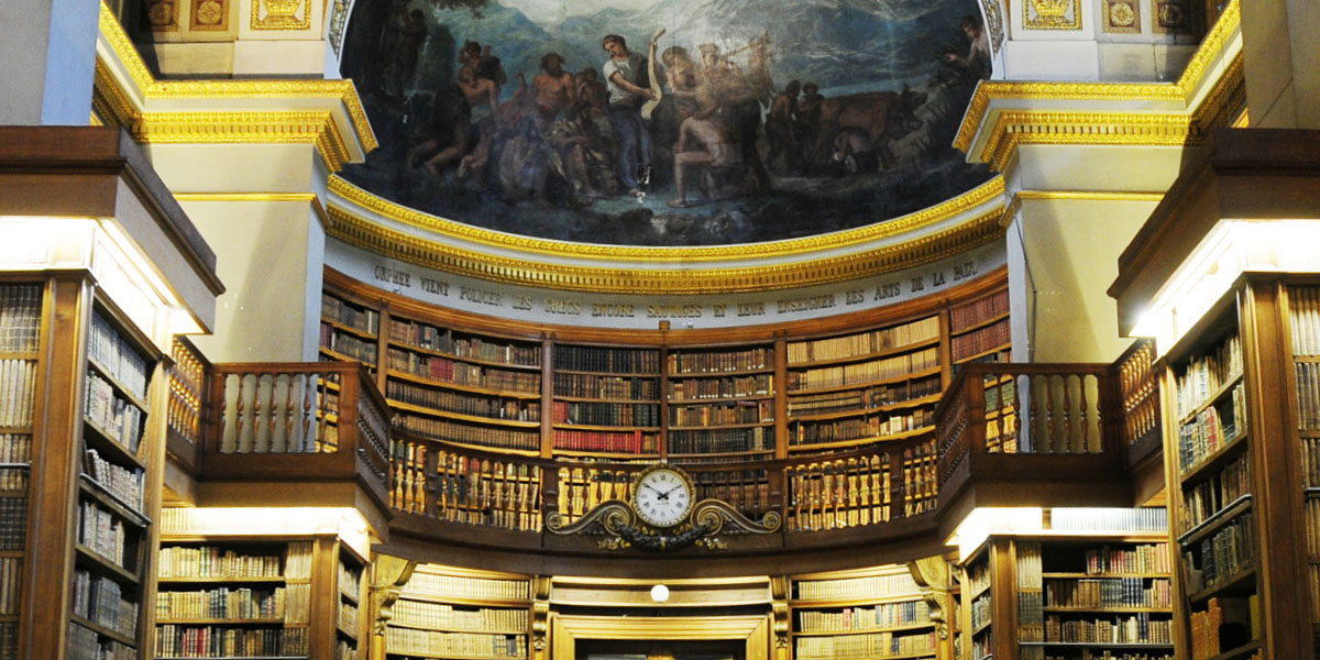 Musei, Biblioteche e Teatri